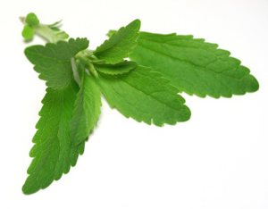  Information about using stevia with diabetes safe for sugar alternative for diabetics stevia better healthy living